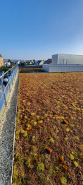 M.E.S Étanchéité | terrasse végétale | Bretagne | Saint Brieuc